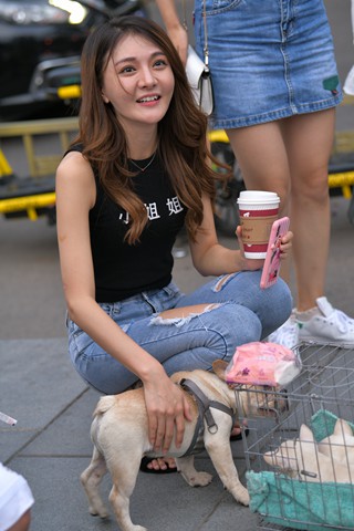 喜欢狗狗的紧牛美女